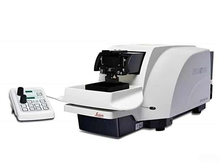 脑组织振动切片机