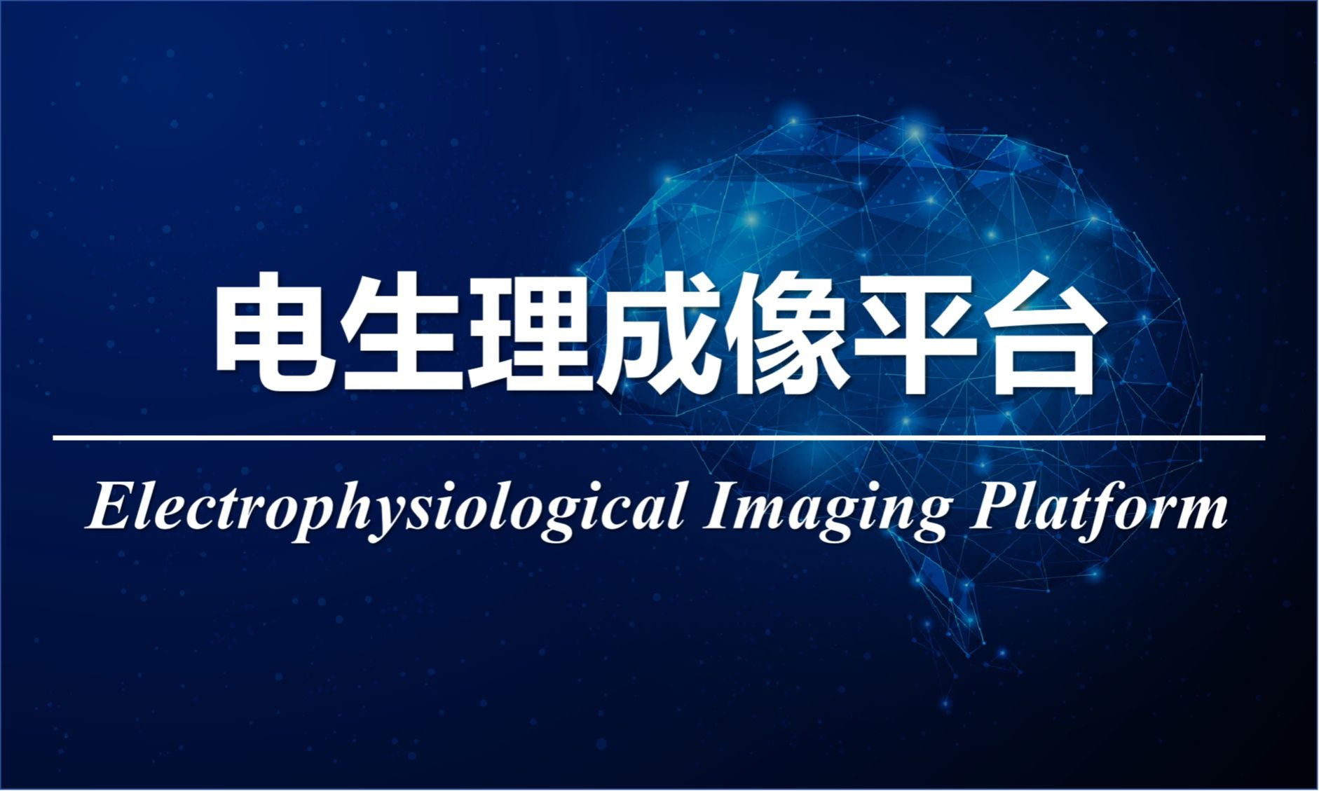 电生理成像平台