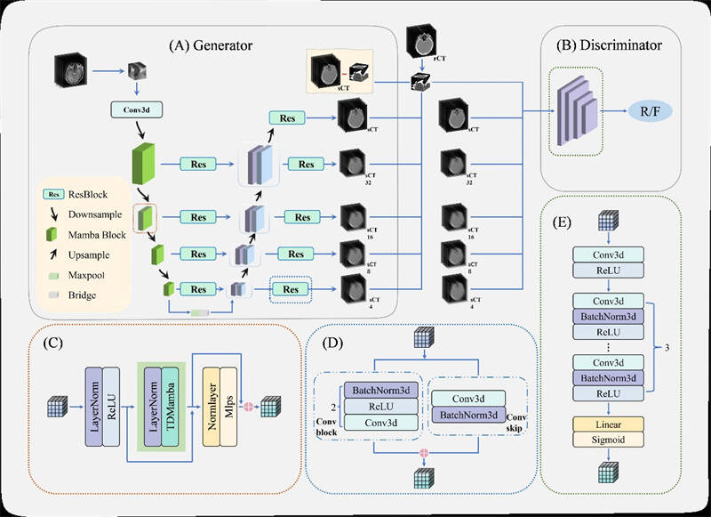 点赞栗雪！医学物理权威期刊+1
